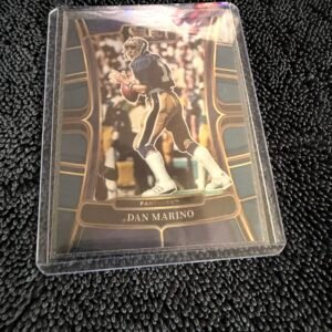 Dan Marino 2023 Panini Select Panthers